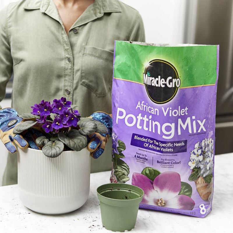 Miracle-Gro® African Violet Potting Mix image number null