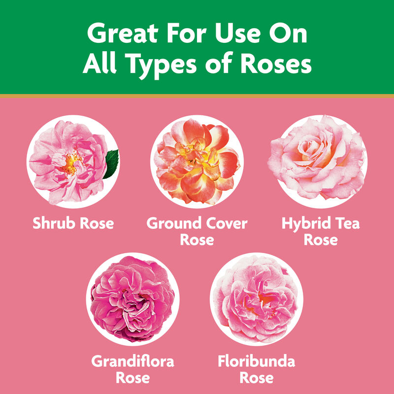 Miracle-Gro® Water Soluble Rose Plant Food image number null