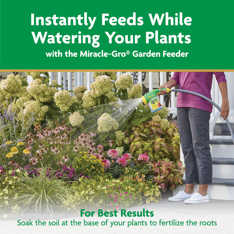 MiracleGro Water Soluble All Purpose Plant Food Miracle Gro