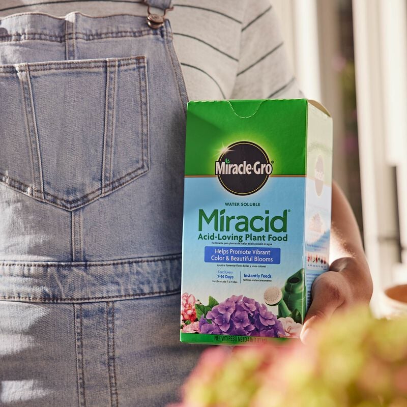 Miracle-Gro® Water Soluble Miracid Acid-Loving Plant Food image number null