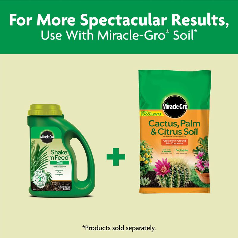 Miracle-Gro® Shake 'N Feed Palm Plant Food image number null