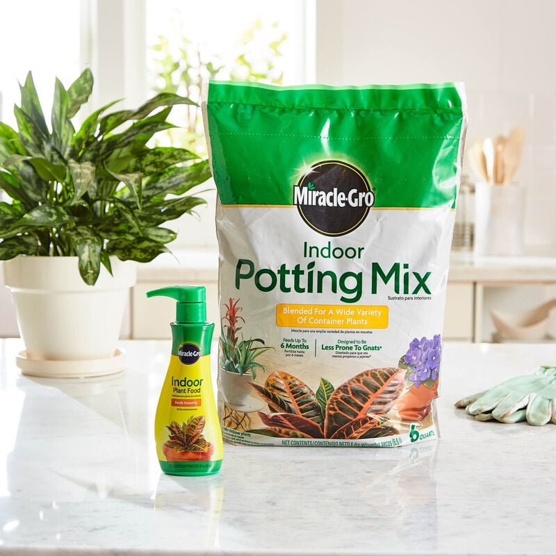 Miracle-Gro® Indoor Potting Mix and Miracle-Gro® Indoor Plant Food image number null
