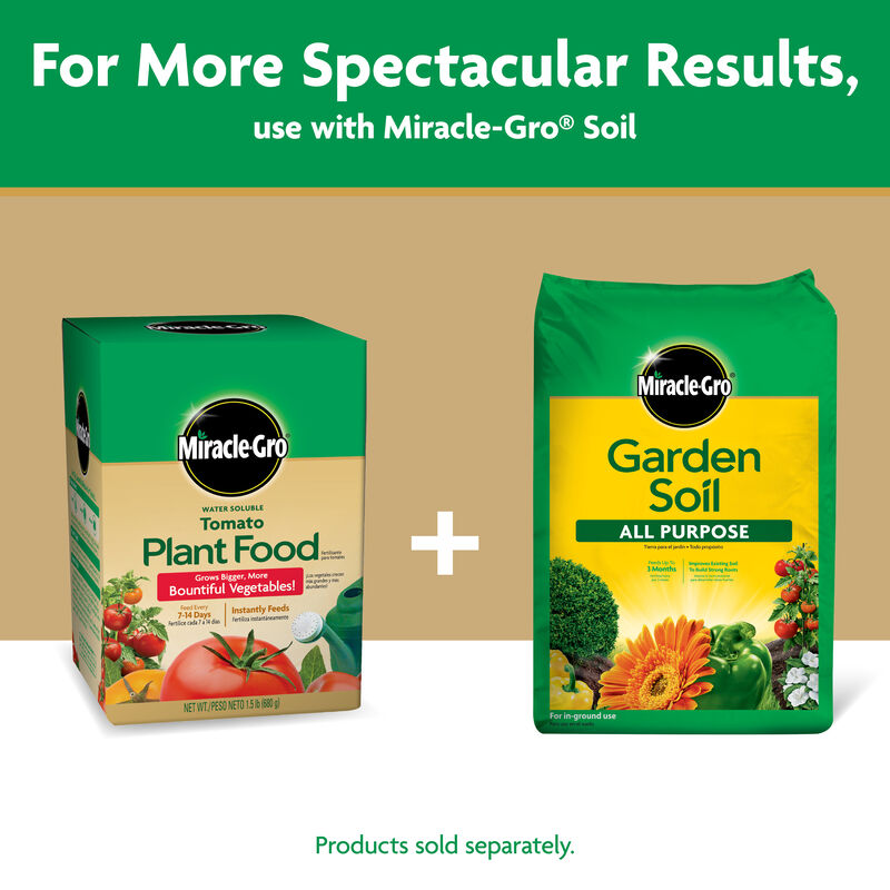 Miracle-Gro® Water Soluble Tomato Plant Food image number null
