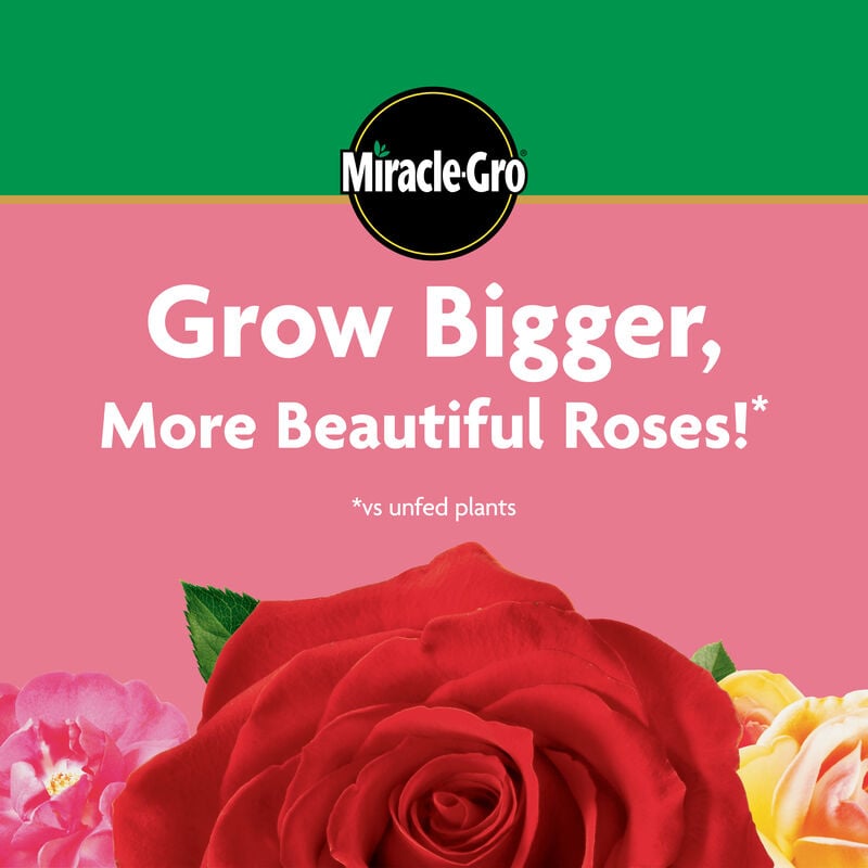 Miracle-Gro® Water Soluble Rose Plant Food image number null
