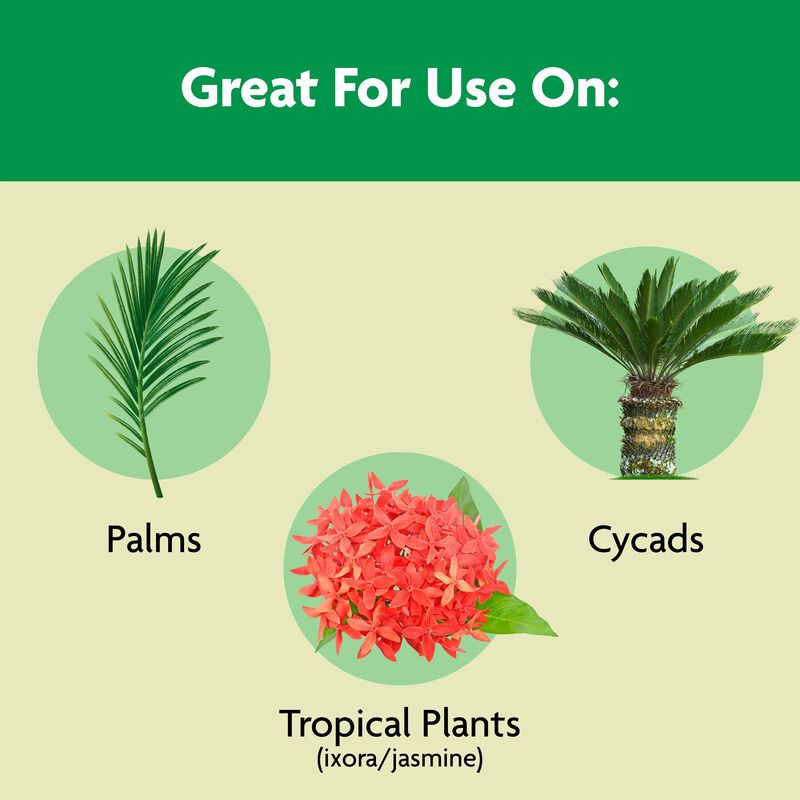 Miracle-Gro® Shake 'N Feed Palm Plant Food image number null