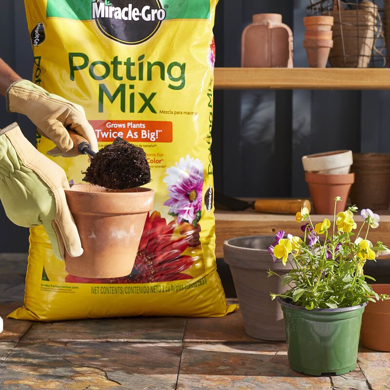 MiracleGro Potting Mix Miracle Gro