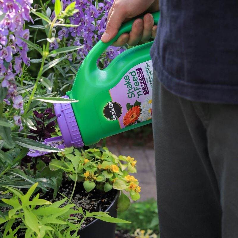 Engrais Pour Plantes Ultra Bloom Miracle-Gro® Shake 'N Feed image number null