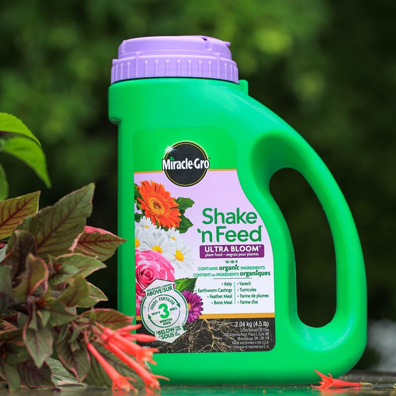 Miracle-Gro® Shake 'N Feed Ultra Bloom Plant Food image number null