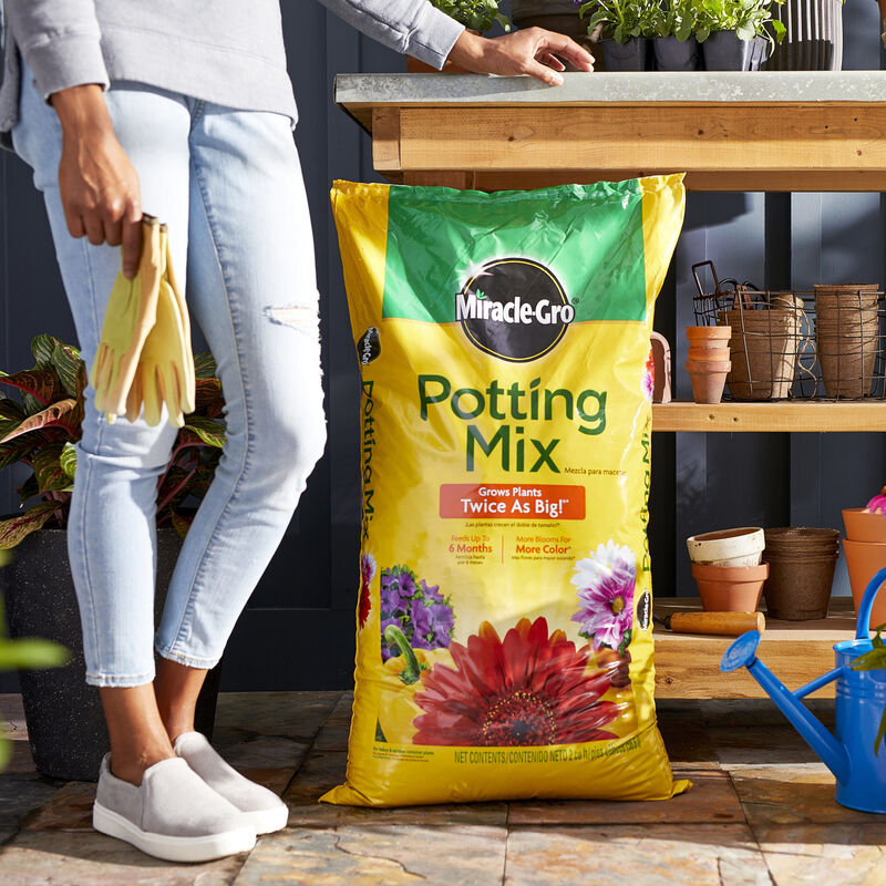 MiracleGro Potting Mix Miracle Gro