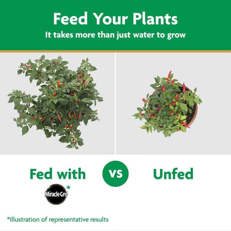 Miracle-Gro® Water Soluble Plant Food Vegetables and Herbs image number null
