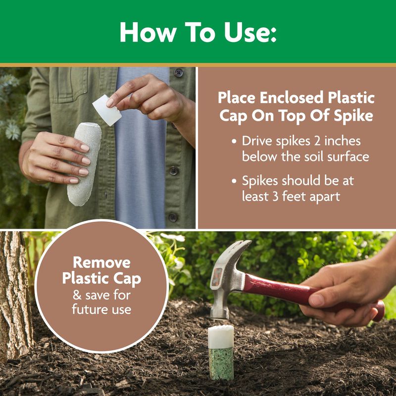 Miracle-Gro® Evergreen Plant Food Spikes image number null