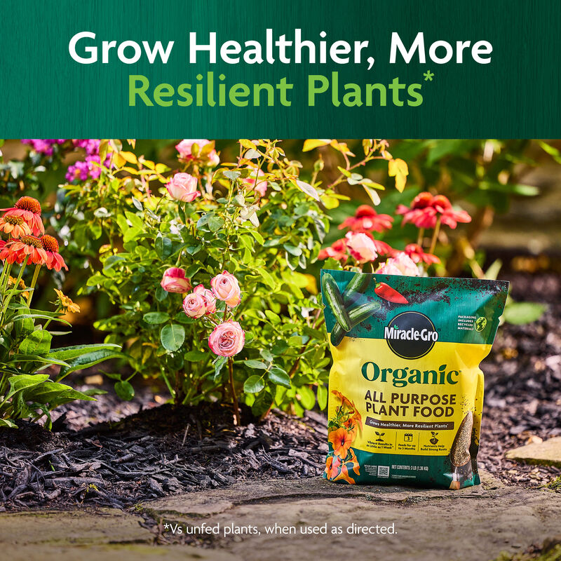 Miracle-Gro Organic™ All Purpose Plant Food image number null
