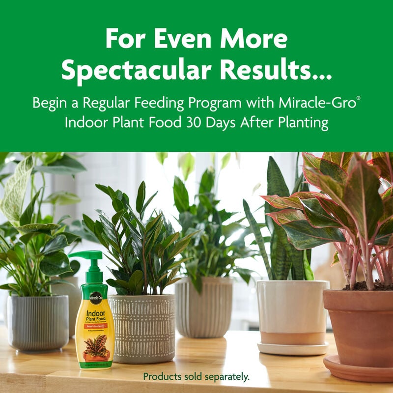 Miracle-Gro® Indoor Potting Mix image number null