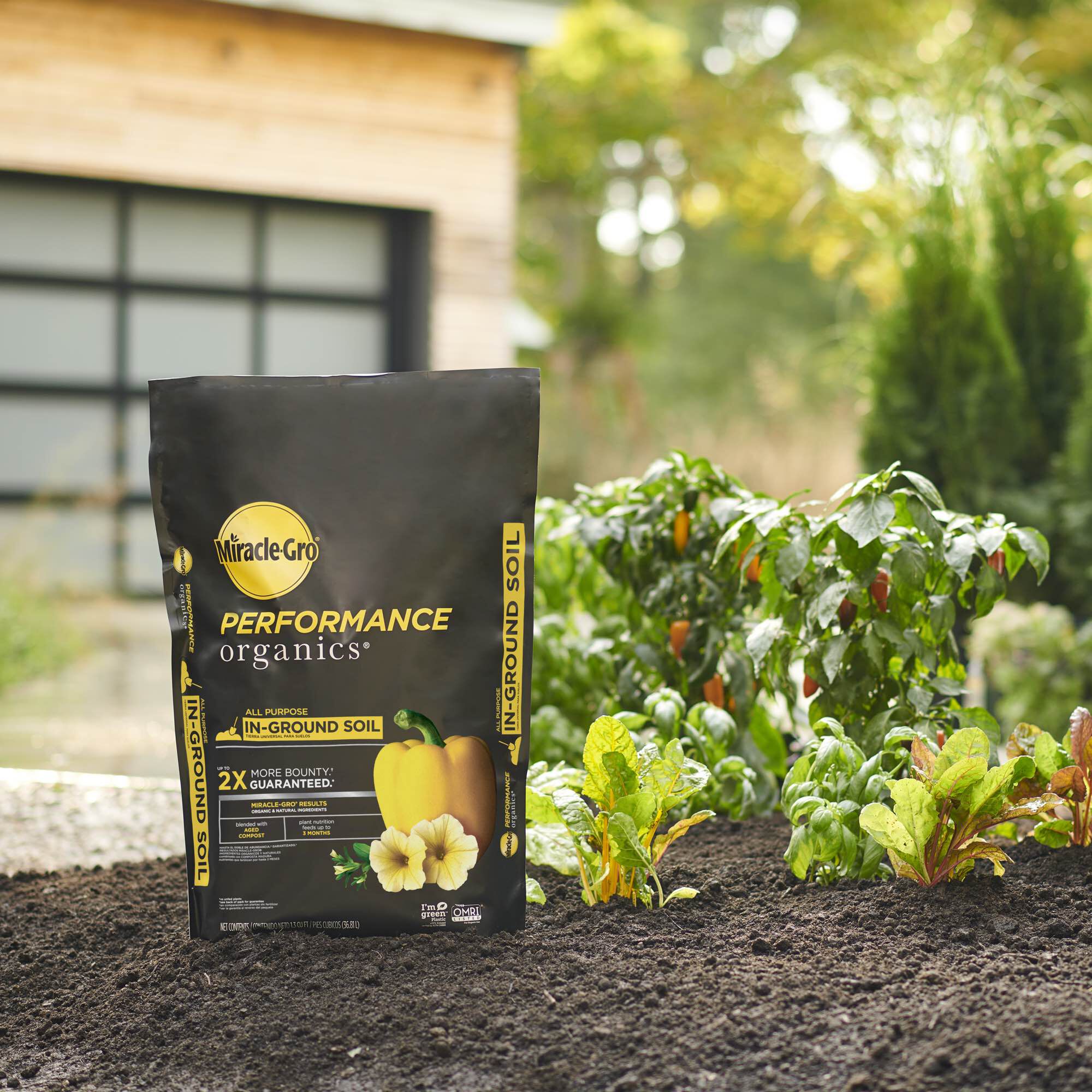 Miracle gro organic shop soil