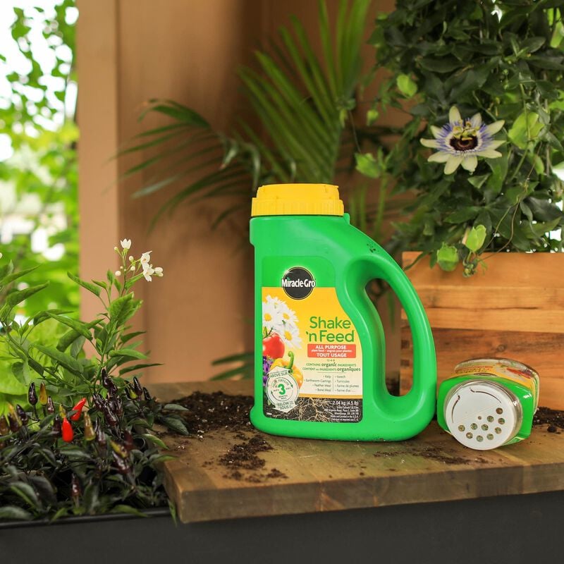 Engrais pour plantes toute usage Miracle-Gro® Shake 'n Feed® image number null