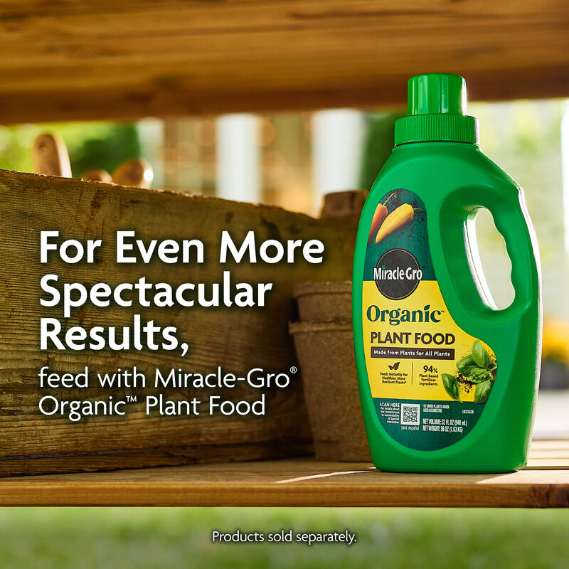 Miracle-Gro Organic™ Raised Bed Soil image number null