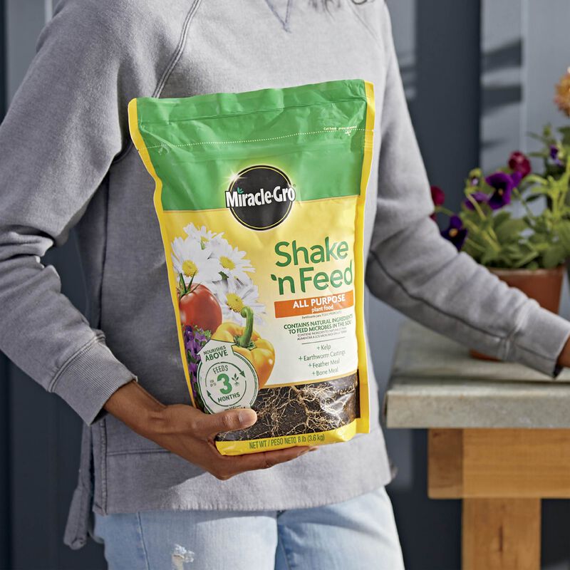 MiracleGro Shake 'N Feed All Purpose Plant Food Miracle Gro