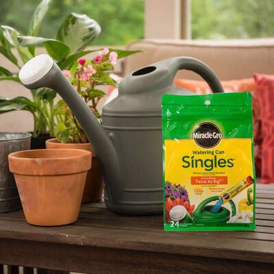 Engrais pour plantes tout usage hydrosoluble Miracle-Gro® Singles pour arrosoir