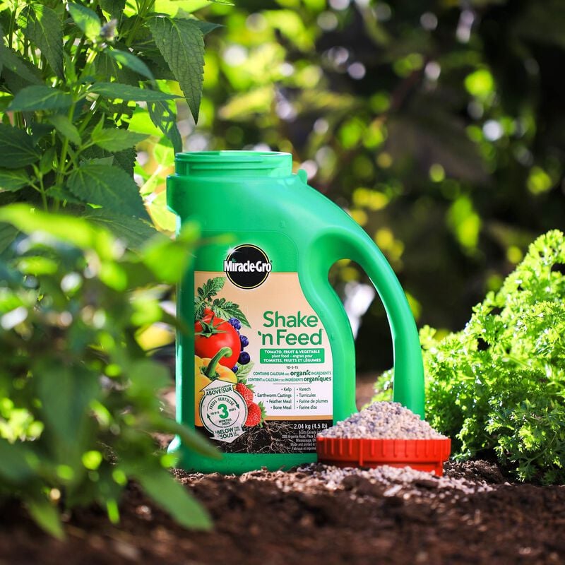 Miracle-Gro® Shake N Feed engrais pour tomates, fruits et legumes image number null