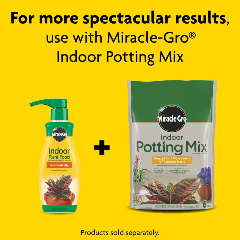 Miracle-Gro® Indoor Plant Food image number null