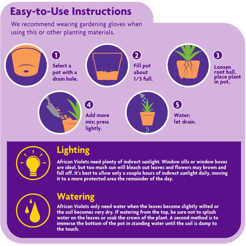 Miracle-Gro® African Violet Potting Mix image number null