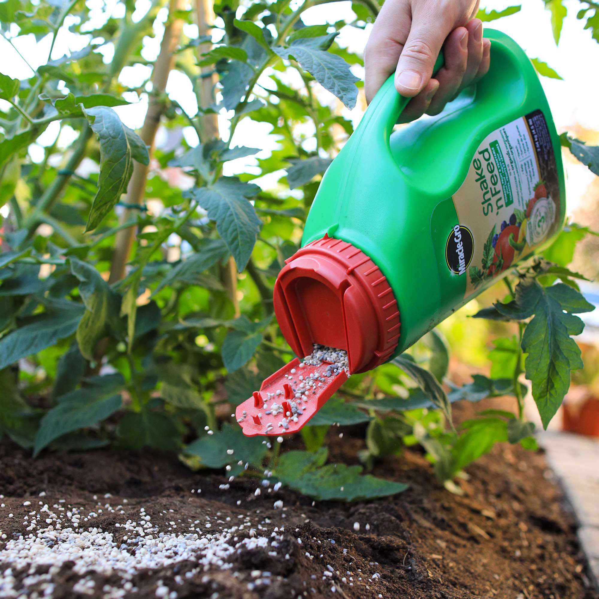 Miracle gro on sale shake and feed