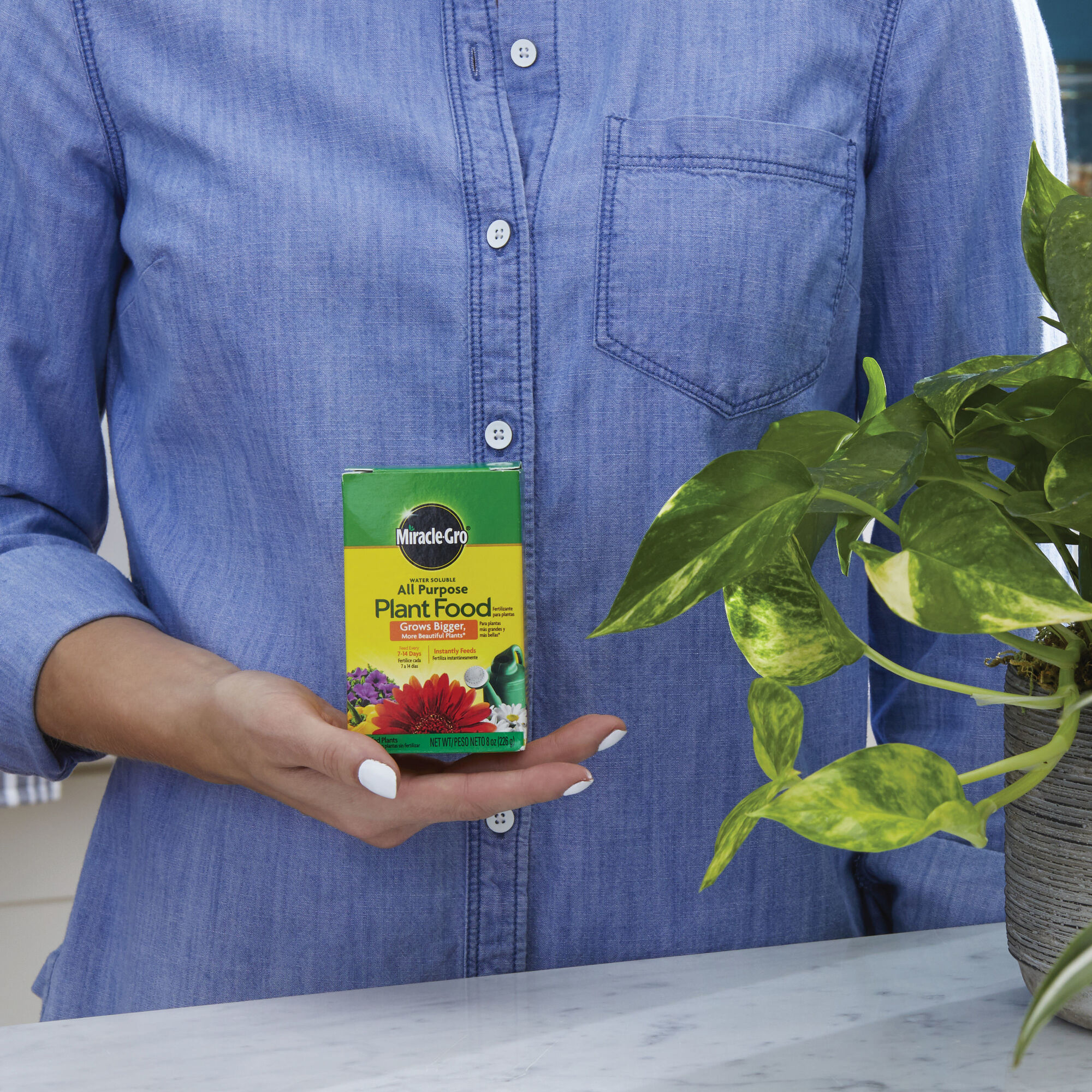 Miracle gro outlet all purpose