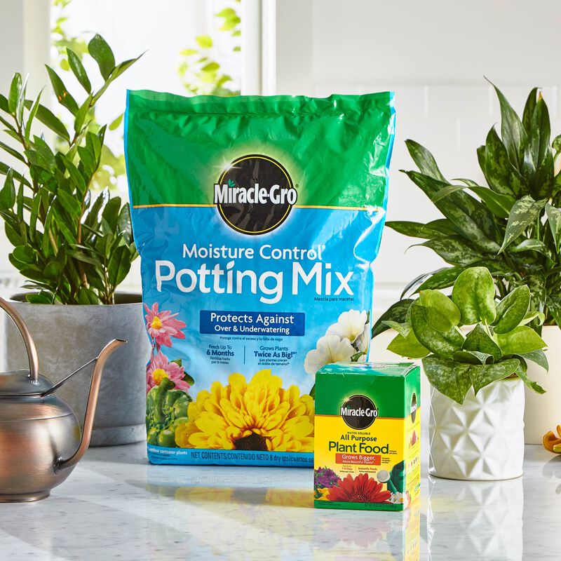 Miracle-Gro® Moisture Control Potting Mix and Miracle-Gro® Water Soluble All Purpose Plant Food image number null