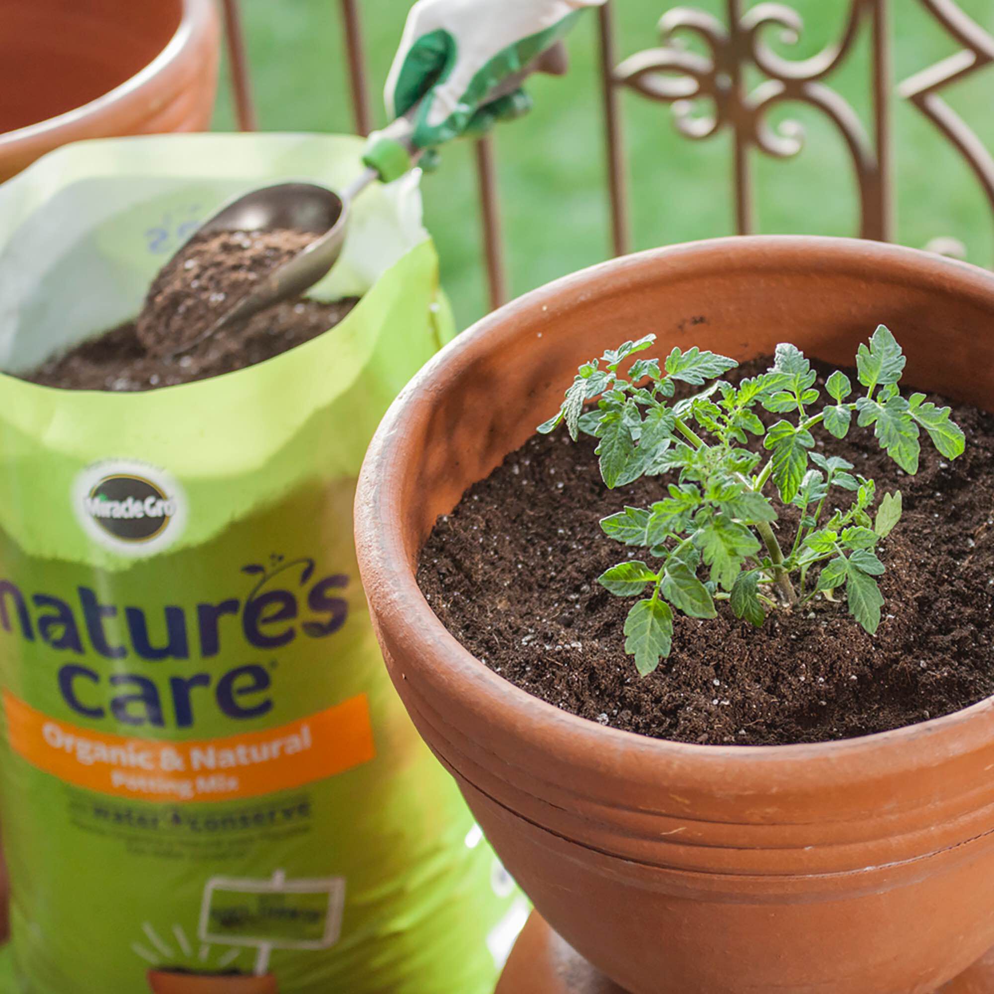 Miracle gro organic soil hot sale