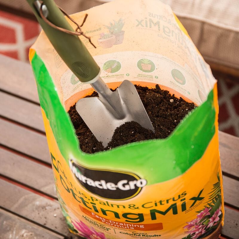 Miracle-Gro® Cactus, Palm & Citrus Potting Mix image number null