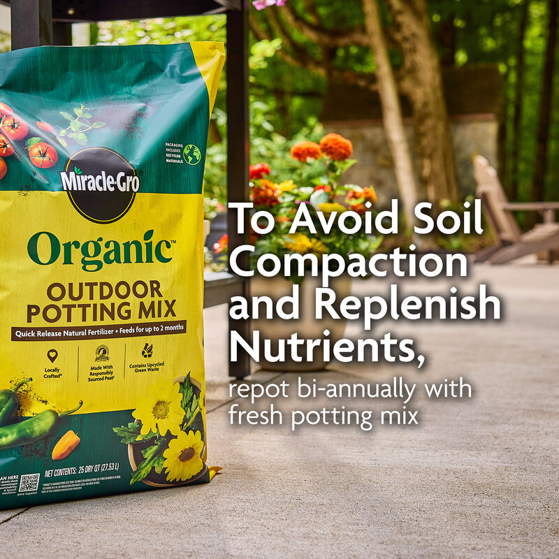 Miracle-Gro Organic™ Outdoor Potting Mix image number null