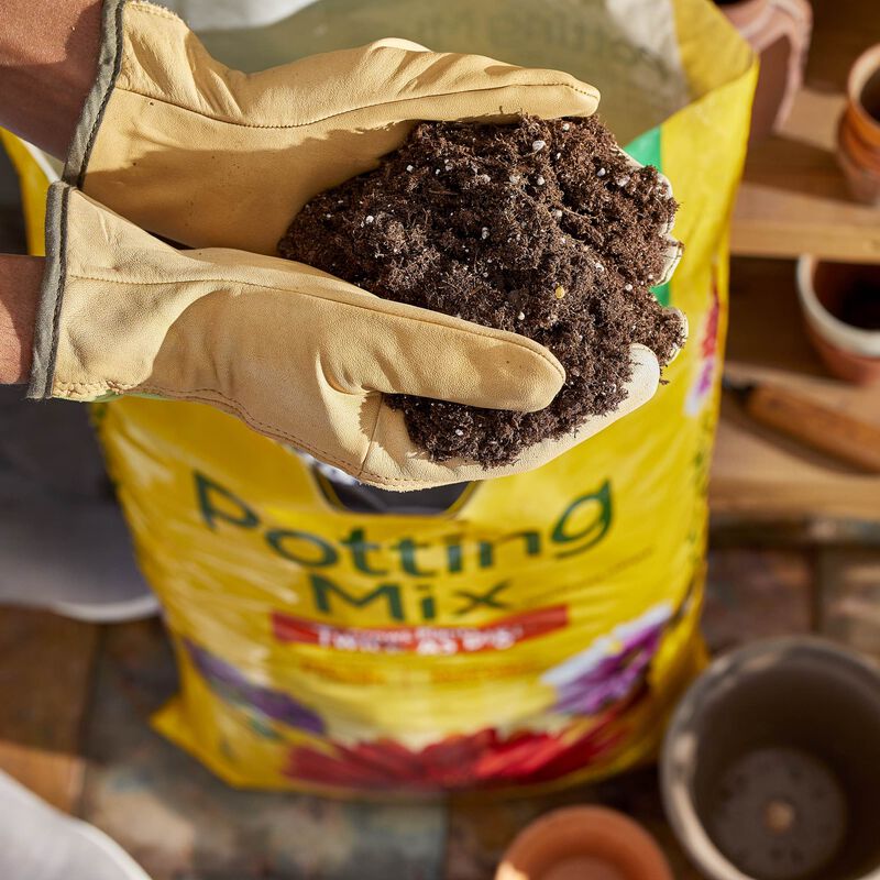 MiracleGro Potting Mix Miracle Gro