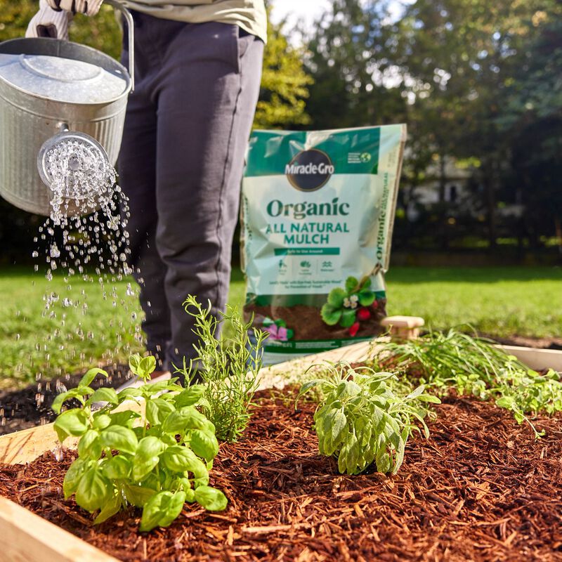 Miracle-Gro® Organic All Natural Mulch image number null