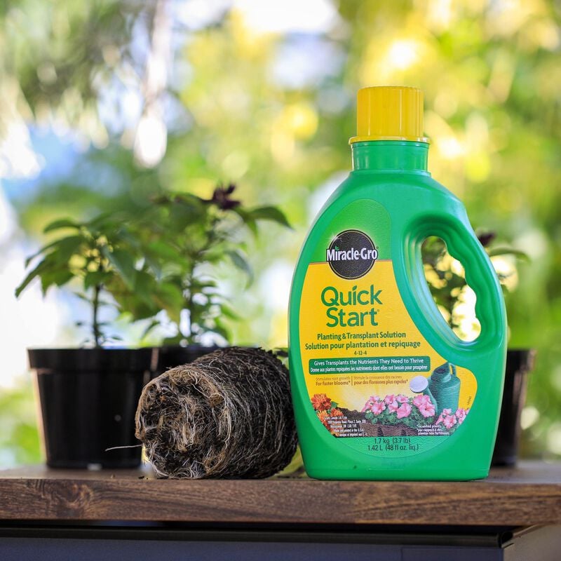 Solution pour plantage et repiquage Quick Start Miracle-Gro® image number null