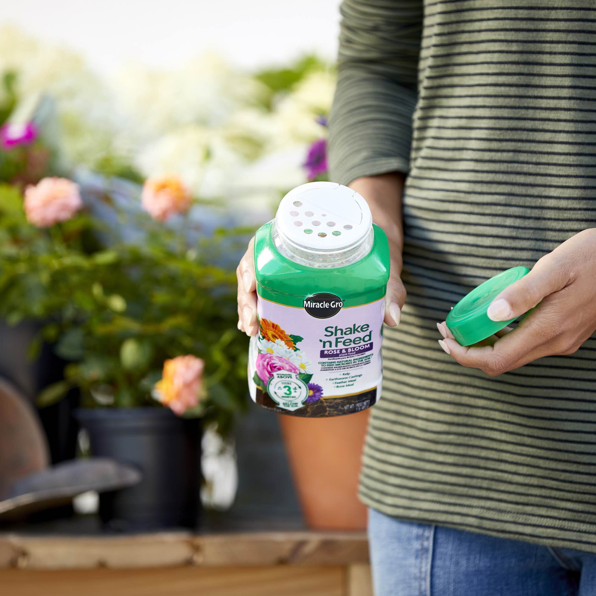 Miracle Gro Shake n Feed Rose Bloom Plant Food Miracle Gro