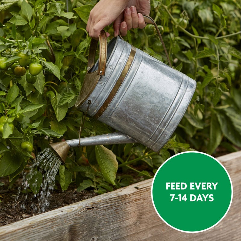 Miracle-Gro® Water Soluble Tomato Plant Food image number null