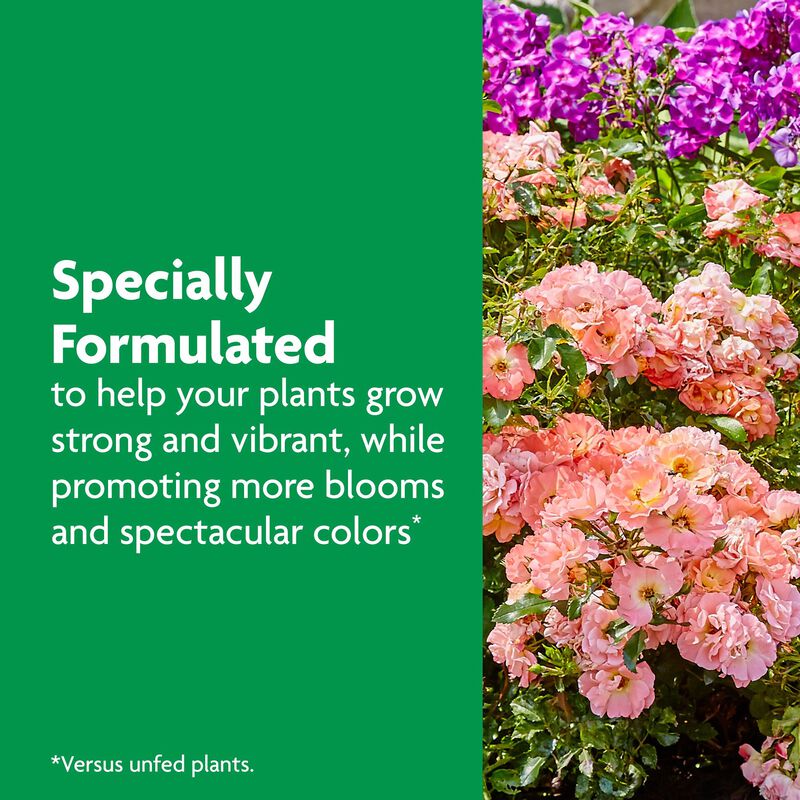 Miracle-Gro® Shake 'n Feed Rose & Bloom Plant Food image number null