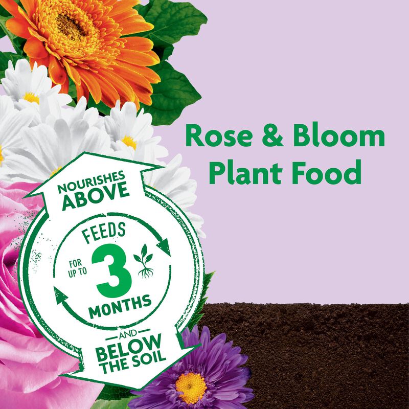 Miracle-Gro® Shake 'n Feed Rose & Bloom Plant Food image number null