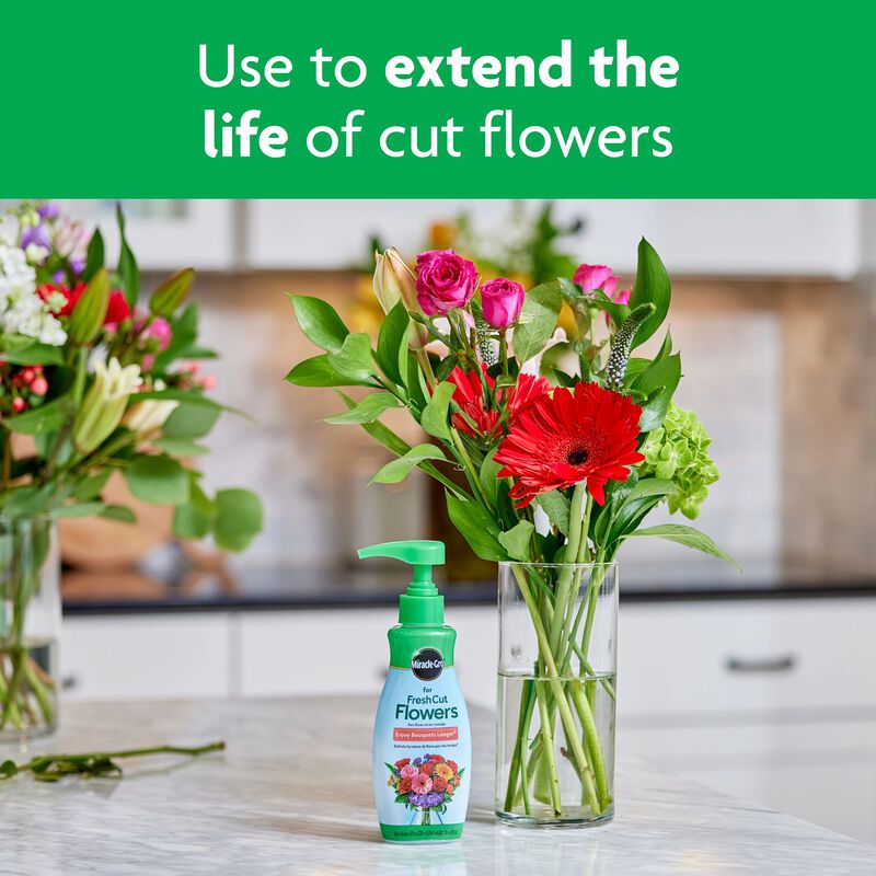 Miracle-Gro® for Fresh Cut Flowers image number null