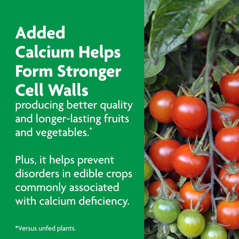 Miracle-Gro® Shake 'N Feed Tomato, Fruit & Vegetable Plant Food image number null
