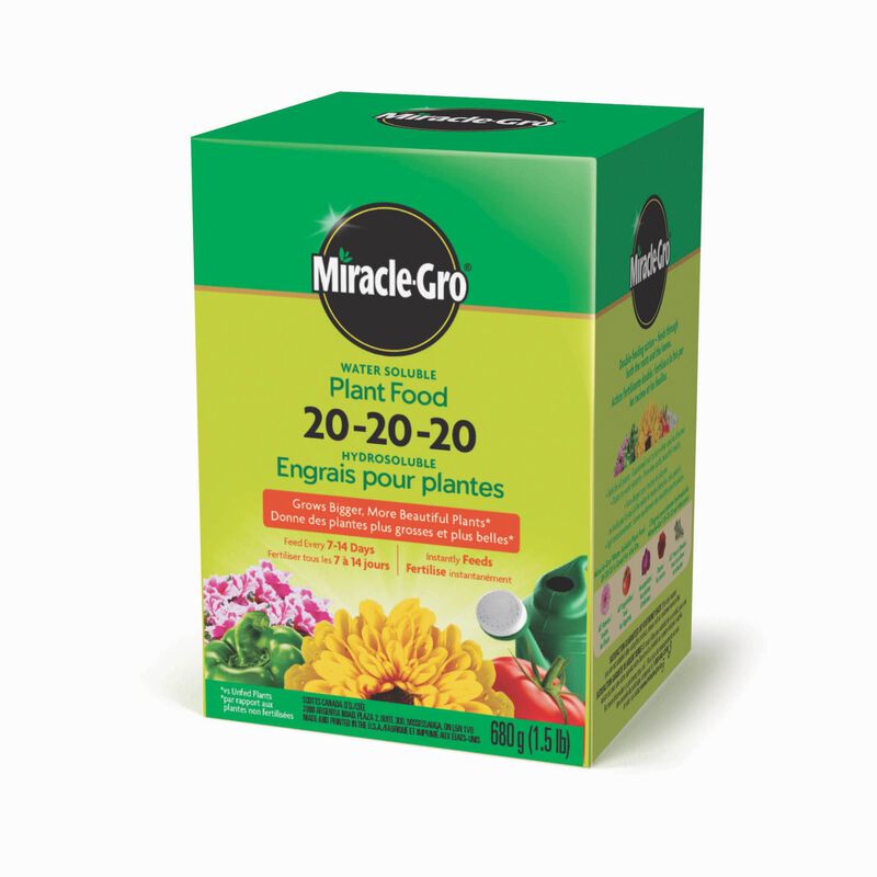 Miracle-Gro® Water Soluble Plant Food 20-20-20 image number null