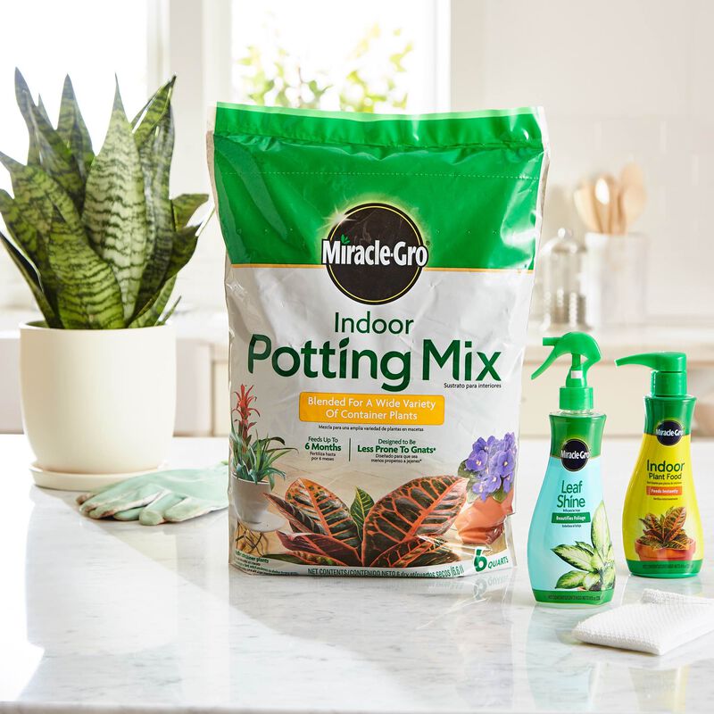 Miracle-Gro® Indoor Potting Mix, Miracle-Gro® Indoor Plant Food, and Miracle-Gro® Leaf Shine image number null