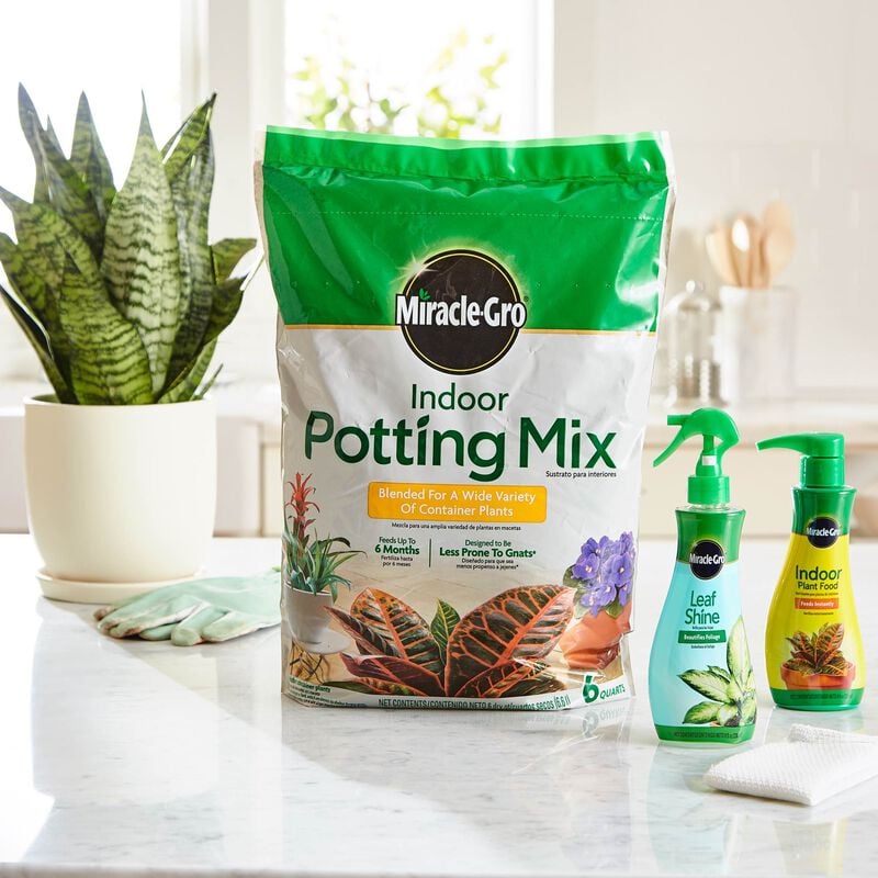 Miracle-Gro® Indoor Potting Mix, Miracle-Gro® Indoor Plant Food, and Miracle-Gro® Leaf Shine image number null