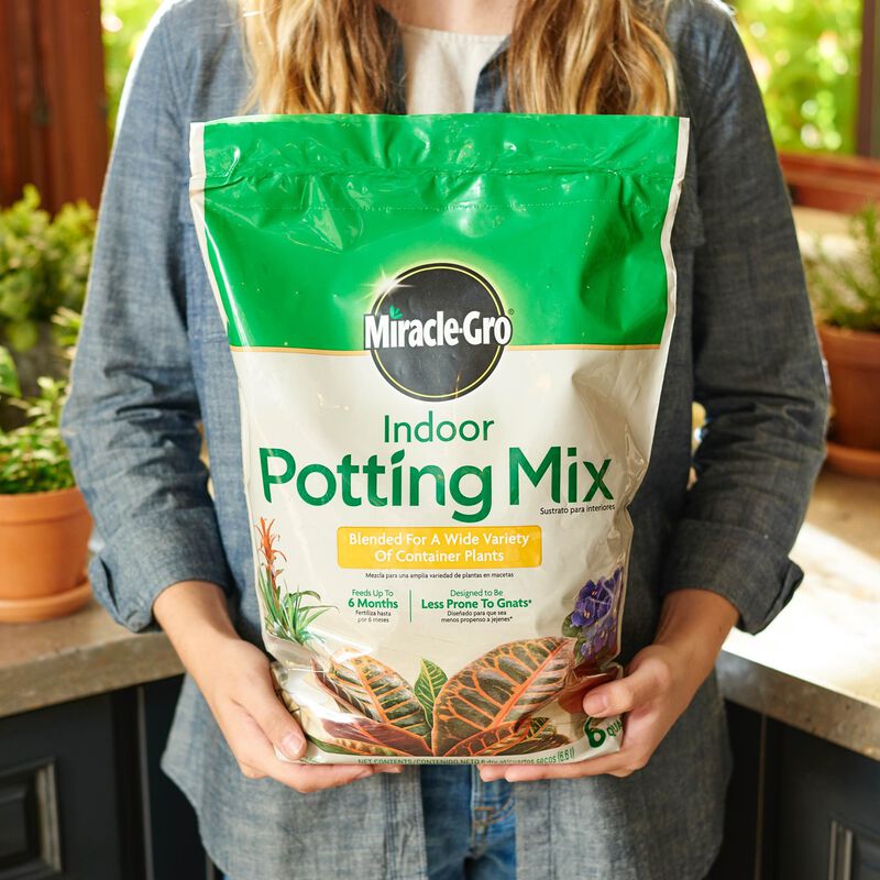 Miracle-Gro® Indoor Potting Mix image number null