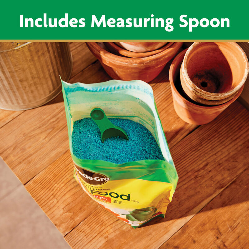 MiracleGro Water Soluble All Purpose Plant Food Miracle Gro