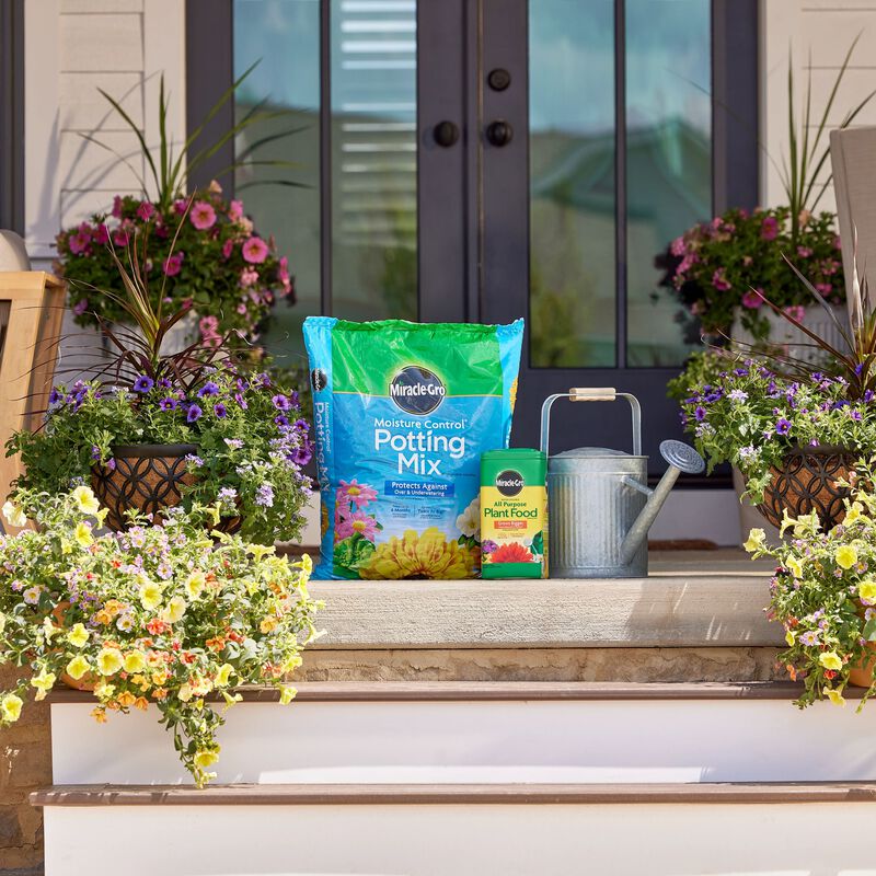 Miracle-Gro® Moisture Control Potting Mix and Miracle-Gro® Water Soluble All Purpose Plant Food image number null