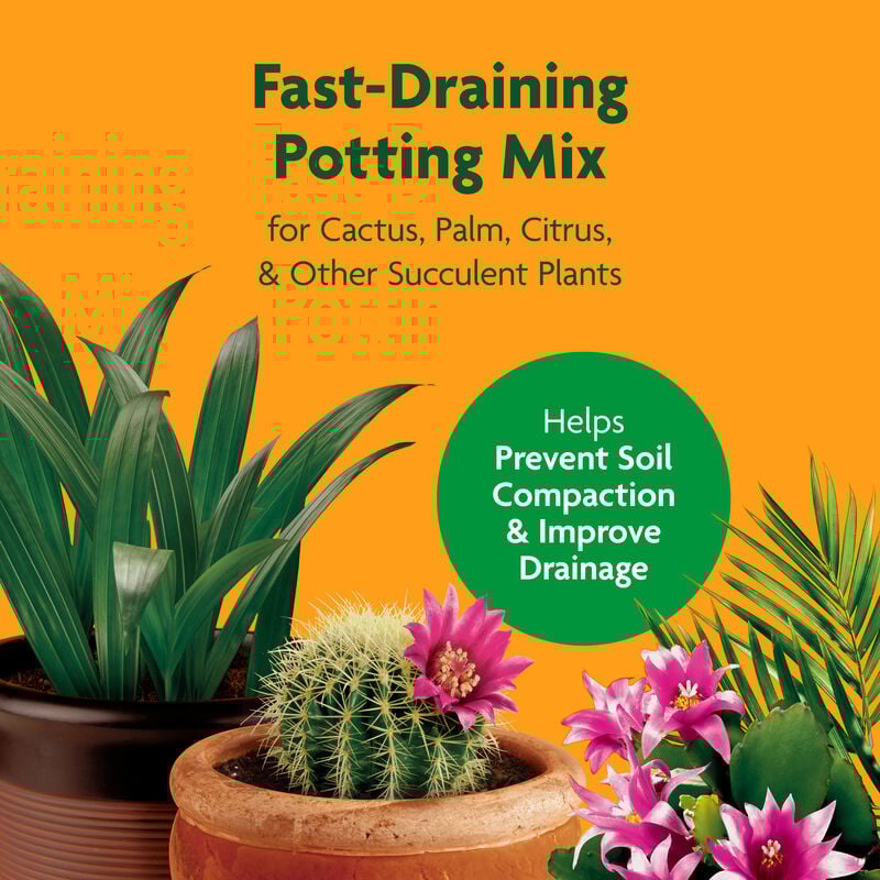 Miracle-Gro® Cactus, Palm & Citrus Potting Mix image number null