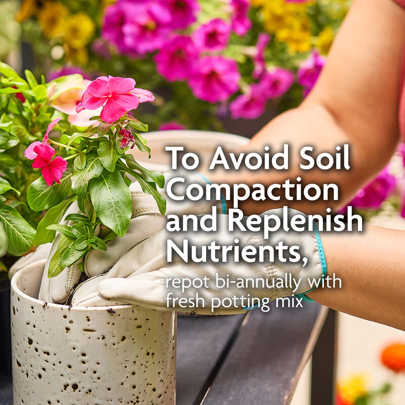 Miracle-Gro Organic™ Potting Mix image number null