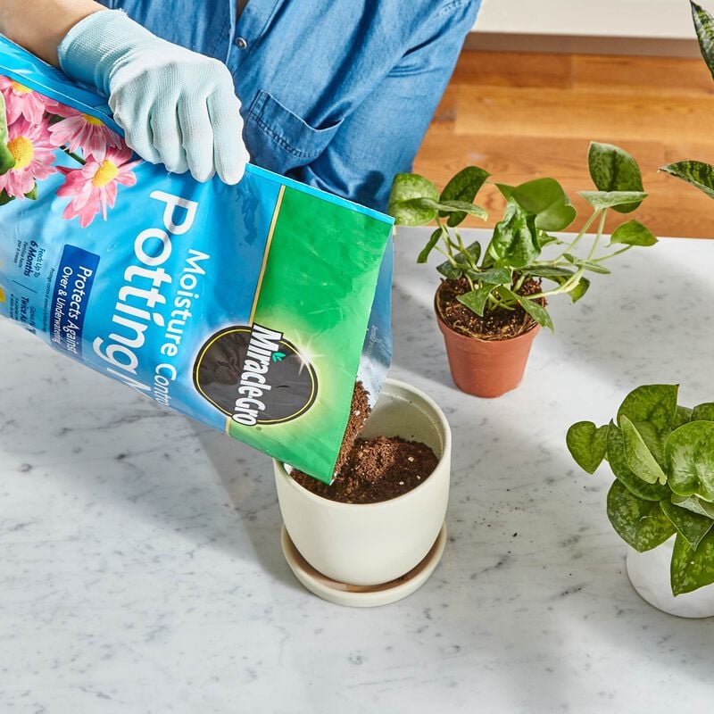 Miracle-Gro® Moisture Control Potting Mix and Miracle-Gro® Water Soluble All Purpose Plant Food image number null