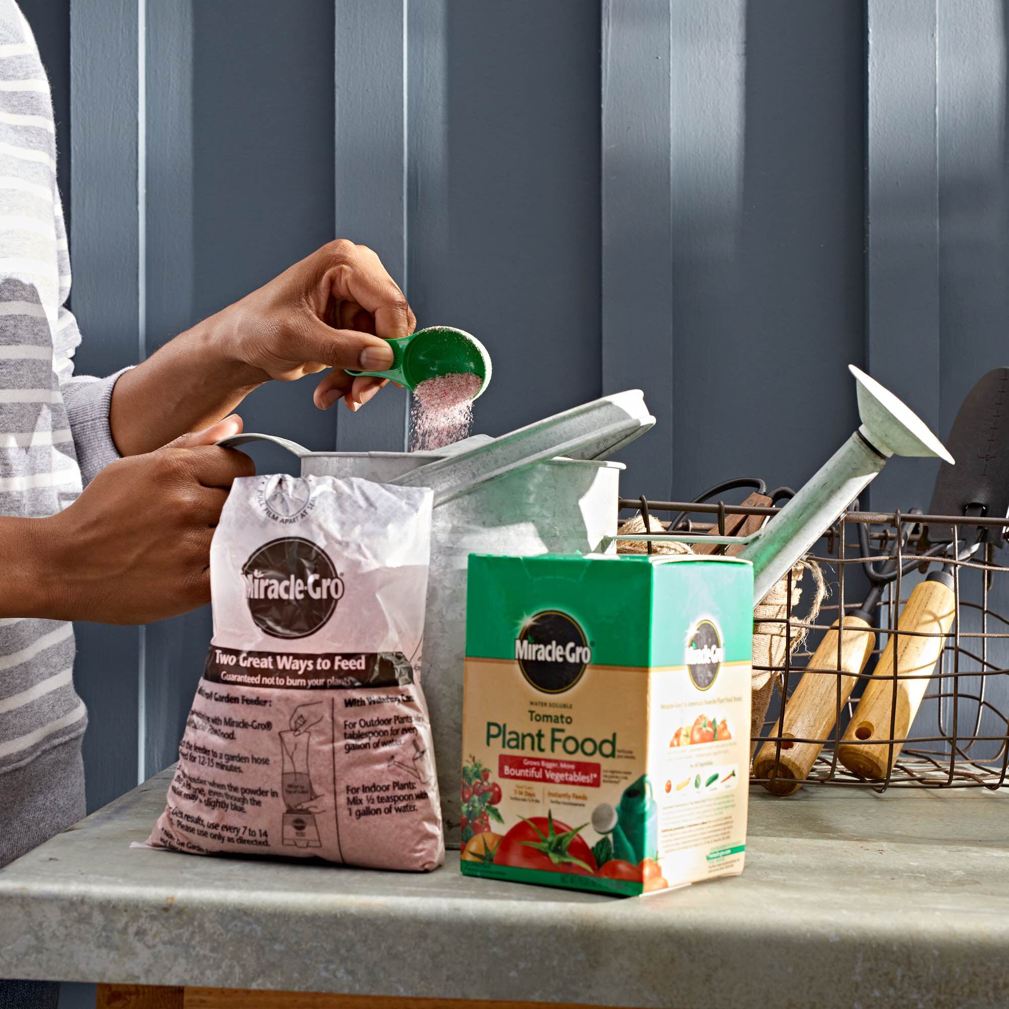 Miracle gro shop for tomatoes